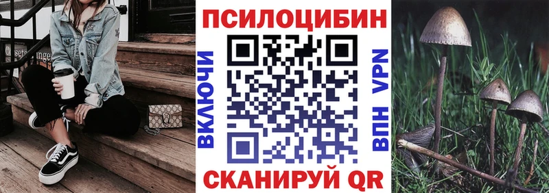 ссылка на мегу tor  Брюховецкая  Галлюциногенные грибы GOLDEN TEACHER  закладки 